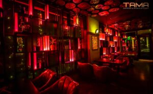 Tama Brewery & World Kitchen, Interiors 54, Sector 16, Faridabad, DM Weekly