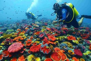 things-to-do-in-lakshadweep